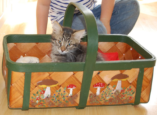 sibirisk kattunge