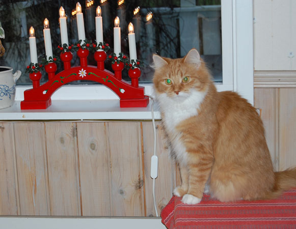 Jul