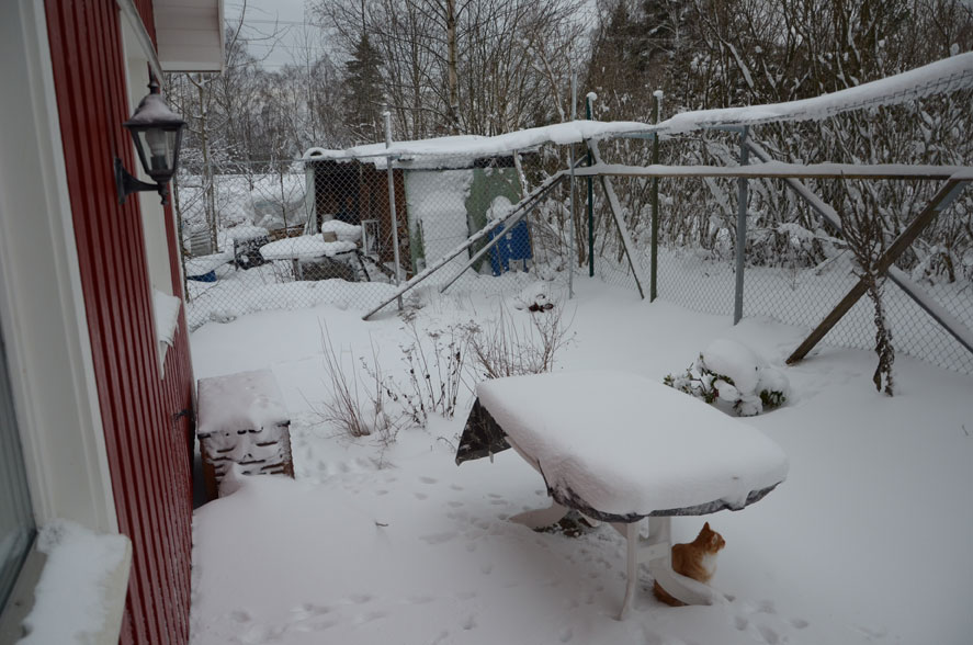 snö