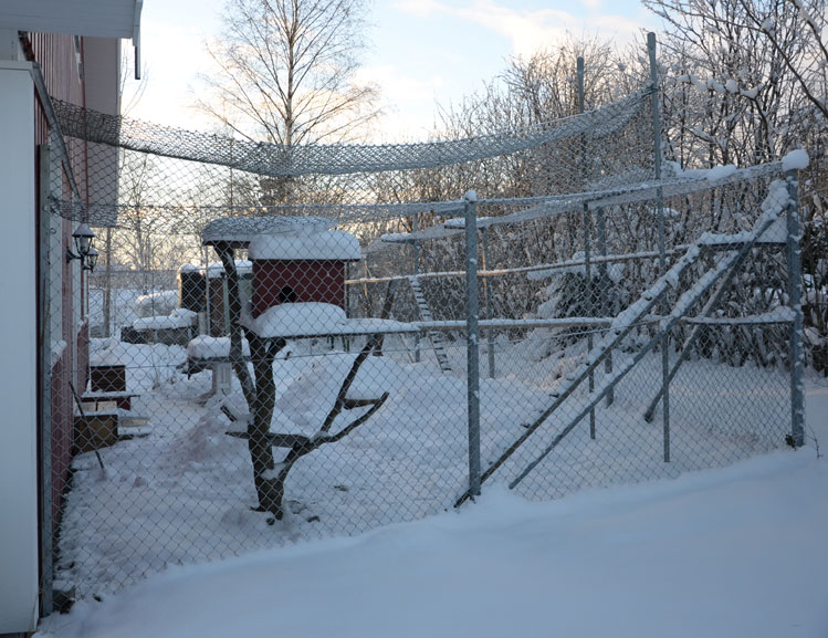 Kattgården