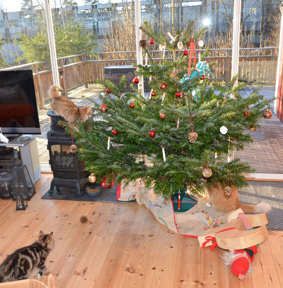 Jul hos Starskys