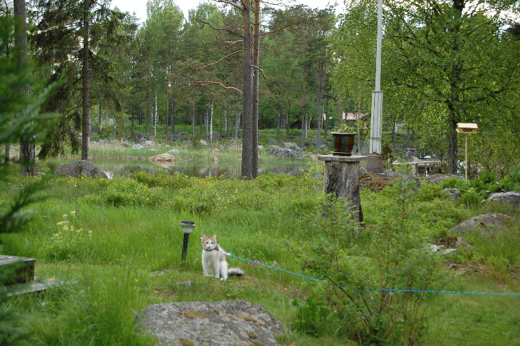 Jonskär
