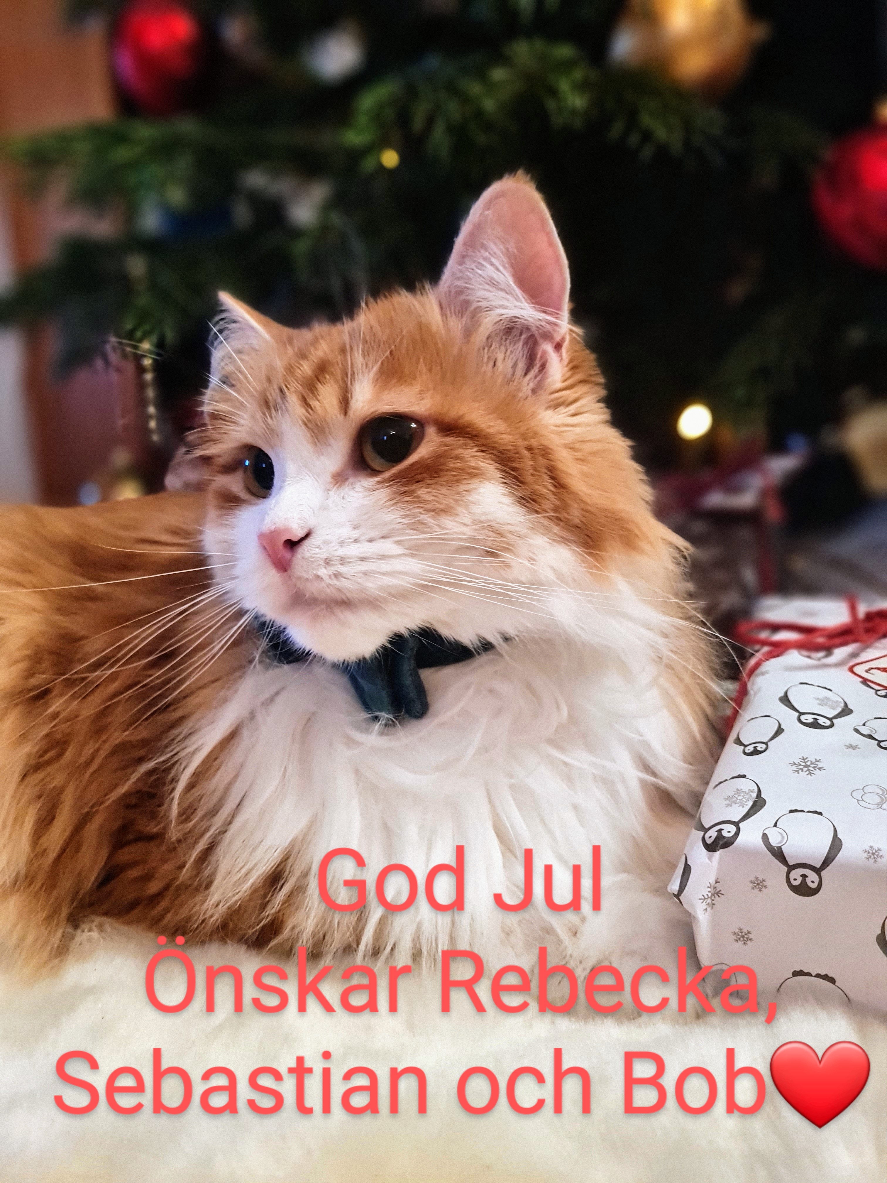 Julkort Ukko