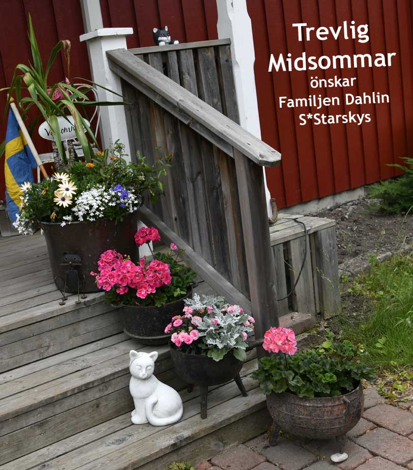 Trevlig midsommar