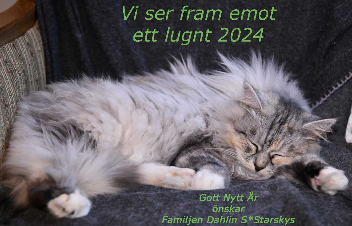 Gott Nytt År