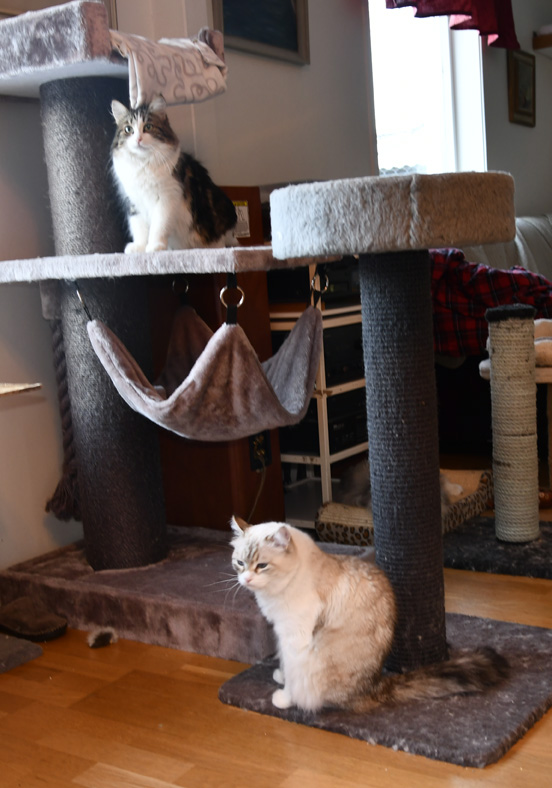 Systrarna Vickie o Whiffi