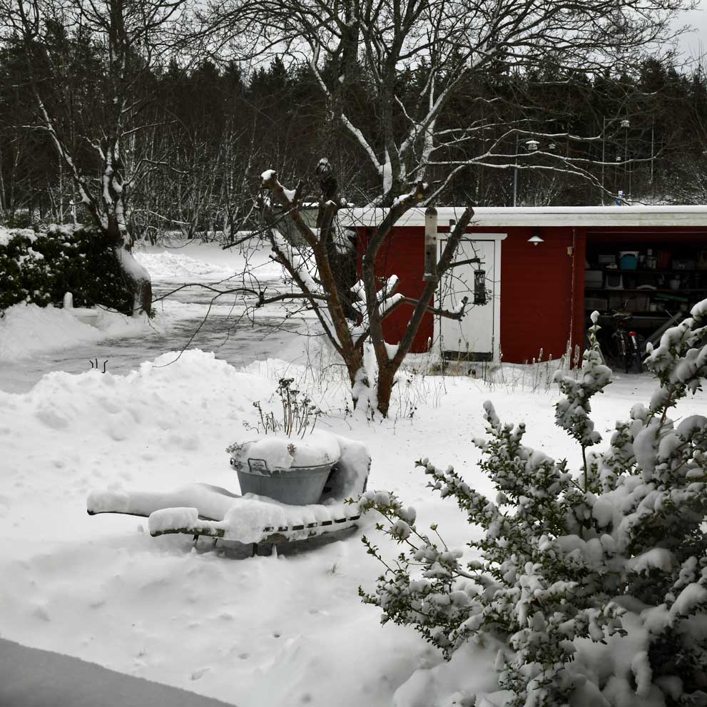 Starskys vinter