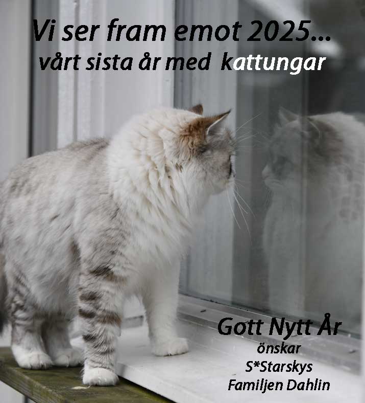 Gott Nytt År