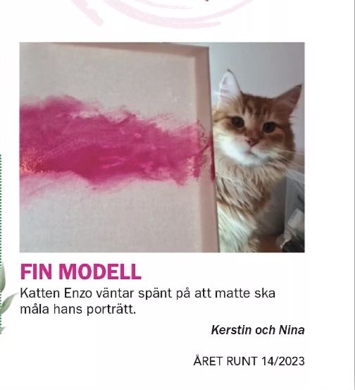 Sibirisk katt Ferrari