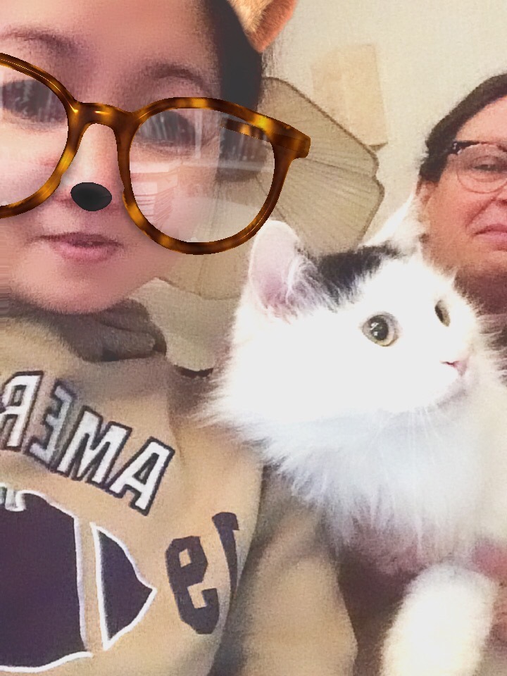 sibirisk katt Junior