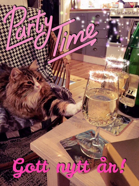 sibirisk katt Umbriel